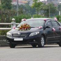 Harga Sewa Wedding  on Armada   Sewa Mobil Jogja   Rental Mobil Jogja   Sewa Mobil Yogyakarta