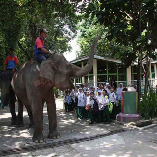 Gembira Loka Zoo