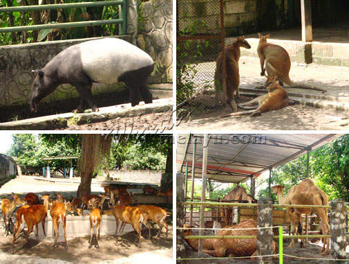 Gembira Loka Zoo