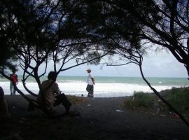 Pantai Kuwaru nan Teduh dan Sejuk