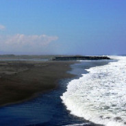 Pantai Trisik