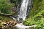 Air Terjun Coban Rondo