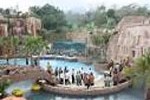 Taman Safari Prigen