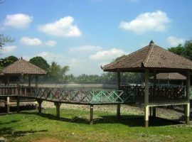 Desa Wisata Agro Trumpon