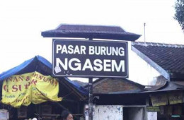 Pasar Ngasem