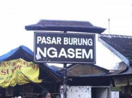 Pasar Ngasem