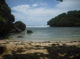 Pantai  Ngetun  Purwodadi