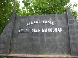 Rental Mobil Murah Jogja Untuk Wisata Kebun Buah Mangunan