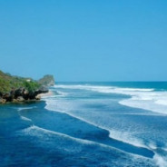 Pantai Sepanjang | Wisata Pantai Gunung Kidul