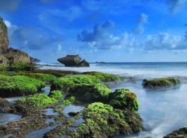 Pantai Jogan | Wisata Pantai Gunungkidul