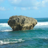 Watu Kodok | Pantai di Gunung Kidul Jogja