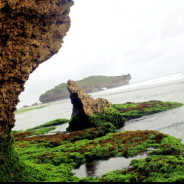 Pantai Sadranan Gunung Kidul