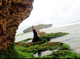 Pantai Sadranan Gunung Kidul
