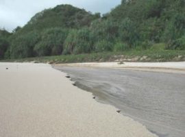 Pantai Sedahan Gunung Kidul