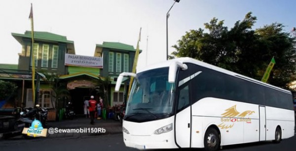 Bisnis Pariwisata Jogja: Memahami Potensi dan Tantangan BPO Bus Pariwisata