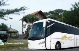 Sewa Bus Jogja Bali Denpasar Bromo Malang