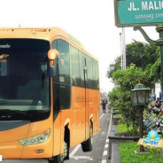 Sewa Bus Kecil Yogyakarta 12 20 25 35 Kursi Penumpang