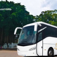 Bus Pariwisata Tujuan Jogja Semarang Solo Purwokerto Cirebon