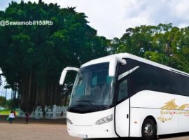Bus Pariwisata Tujuan Jogja Semarang Solo Purwokerto Cirebon