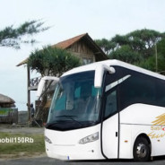 Sewa Bus di Yogyakarta