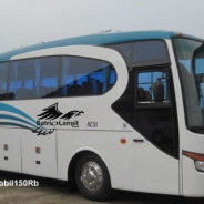 Harga Sewa Bus Wisata Jogja Gunung Kidul Borobudur