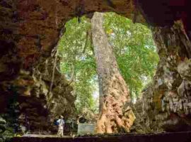 Sejarah Gua Rancang Kencono di Yogyakarta